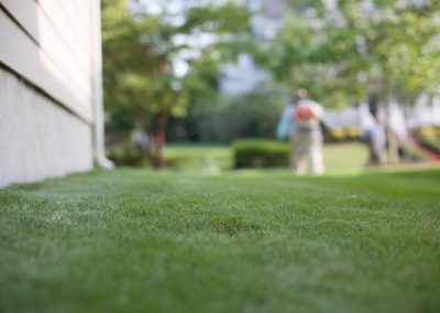 lawn care services cary nc